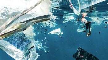 Estudios evidencian el peligro de