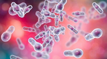 Ilustración digital de múltiples bacterias Clostridium difficile, con formas de varilla y centros violáceos, sobre un fondo borroso de tonos rojizos y rosados.