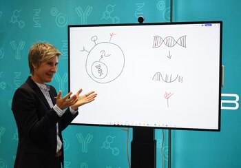 Los investigadores entrenaron un modelo