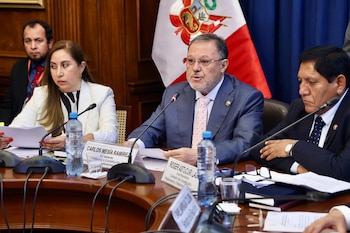 Carlos Mesía, presidente de la Comisión de Constitución del Senado. (Foto: Congreso)