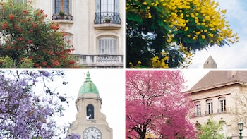 Los cuatro colores que marcan el ritmo de los que viven en Buenos Aires aunque no todos les presten atención