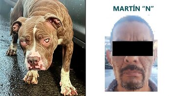 Martín "N" enfrentará seis meses