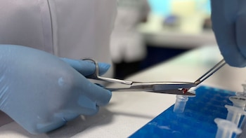 PNP activa moderno laboratorio de ADN para acelerar investigaciones criminales: sala procesará hasta 13 muestras simultáneas