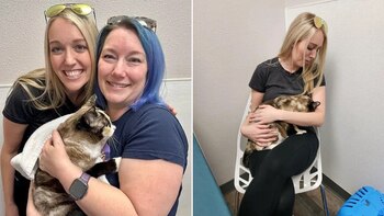 Galena, a 650 millas de