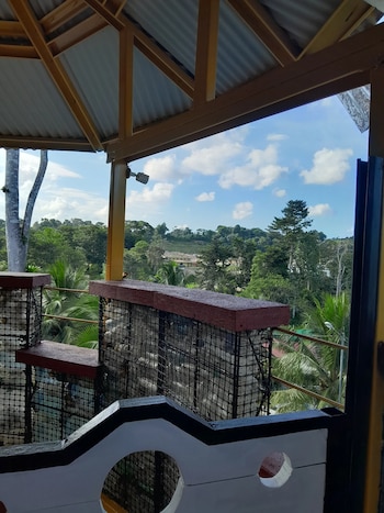 El Energy Globe Award reconoce