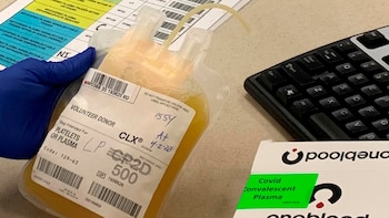 Rechazaron un amparo para que