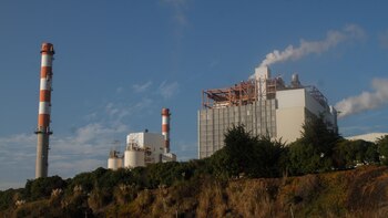 Latinoamérica necesita doblar producción de