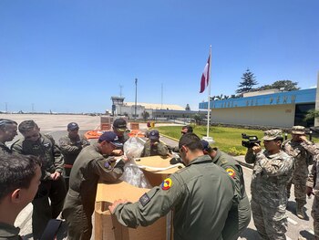 El sistema Guardian Caylym