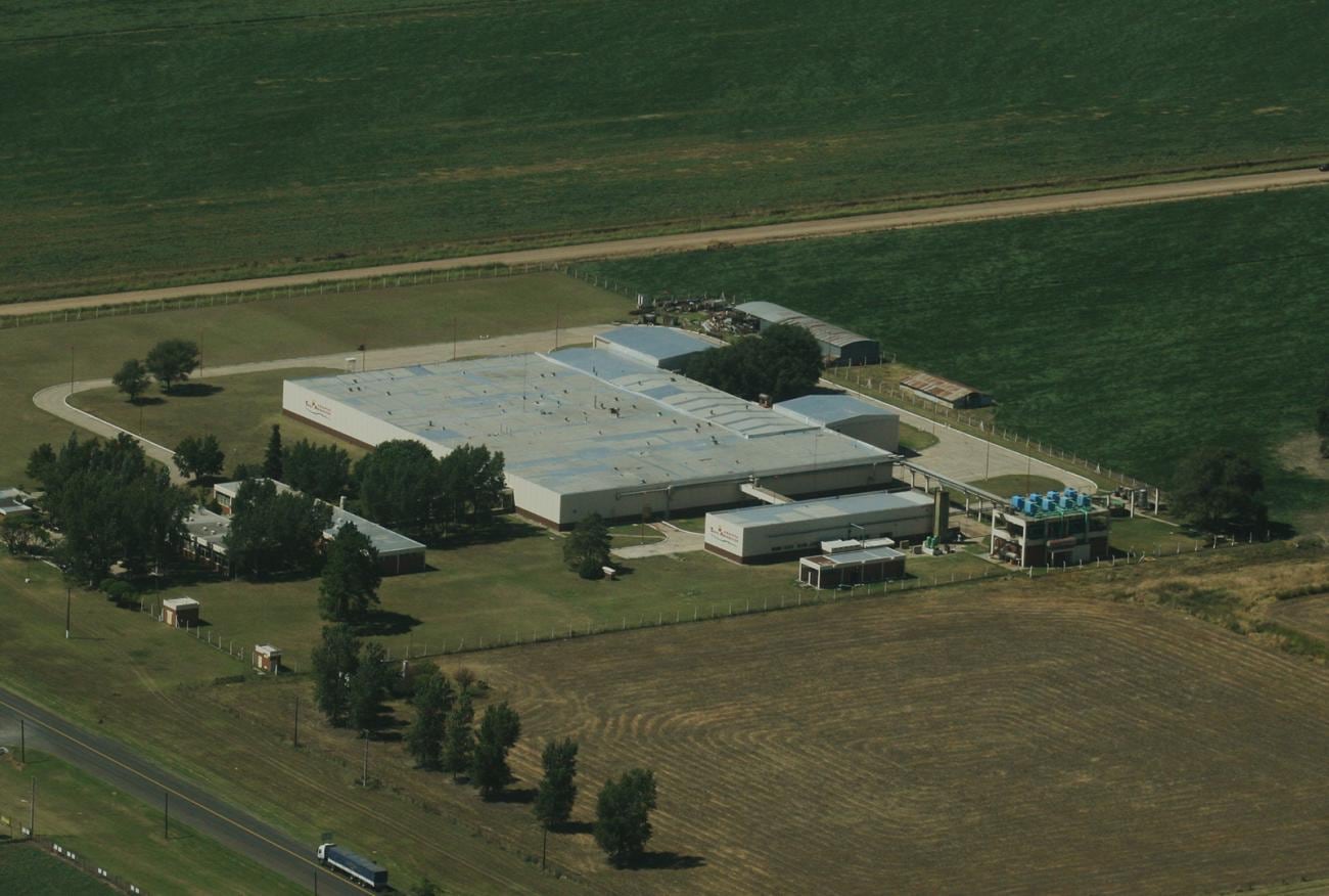 El grupo agrupa a tres sociedades —Granja Tres Arroyos S.A., WADE S.A. y Avex S.A.— y desde 2022 tiene entre sus accionistas a la estadounidense Tyson Foods.