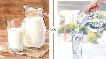 ¿Agua o leche? Qué bebida hidrata más, según un estudio reciente