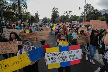 Varias ONGs presentaron las acciones