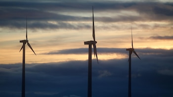 La energía renovable comienza a