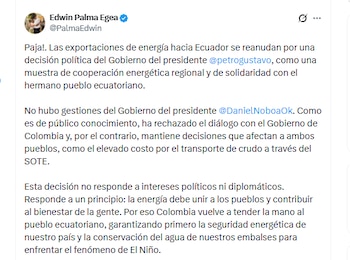 El ministro Edwin Palma Egea aseguró que el Gobierno de Ecuador no hizo ninguna gestión para reanudar el intercambio de energía eléctrica con Colombia - crédito @PalmaEdwin/X