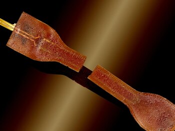 El sensor elástico autorreparable, capaz