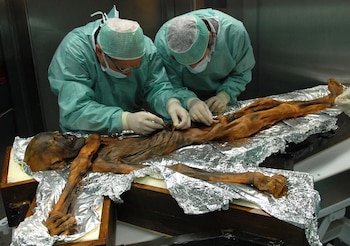 Otzi, el cadáver momificado por el frío durante 5.300 años, hallado en 1991 en un glaciar alpino (Europa Press)