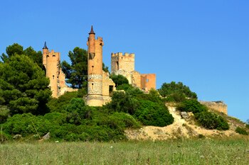Castillo de Mas de la