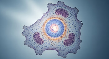 La manipulación de CISTR-ACT mediante