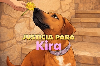 Ilustración de perrita marrón con collar lila, mano humana que ofrece una flor amarilla y texto "JUSTICIA PARA Kira" sobre escaleras de piedra.