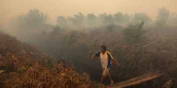 Los incendios forestales y de turberas arrasaron cerca de 1,9 millones de hectáreas en Indonesia desde el inicio del año (REUTERS/Willy Kurniawan)