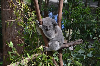 Más de mil millones de