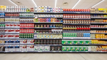 El proyecto, que ya tiene