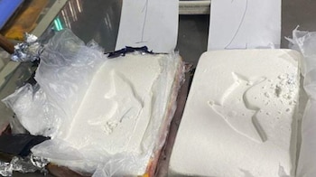 Primer plano de dos ladrillos rectangulares de sustancia blanca, posiblemente droga, con la imagen de un delfín grabada en su superficie