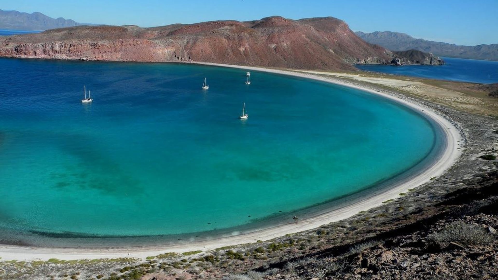 Debido a su biodiversidad, el Mar de Cortés también es conocido como ‘el acuario del mundo’. (Gobierno de México)