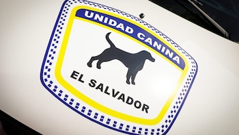 El acuerdo publicado en el Diario Oficial ratifica que el organismo administrará los recursos obtenidos en la terminal aérea, mientras recibe un 10 por ciento de los ingresos brutos por la gestión del servicio (Foto cortesía MAG, archivo)