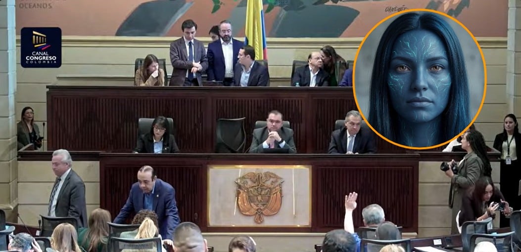 La postulante virtual sostuvo que lo importante es que cada persona tenga voz en las decisiones que les afectan - crédito Canal congreso