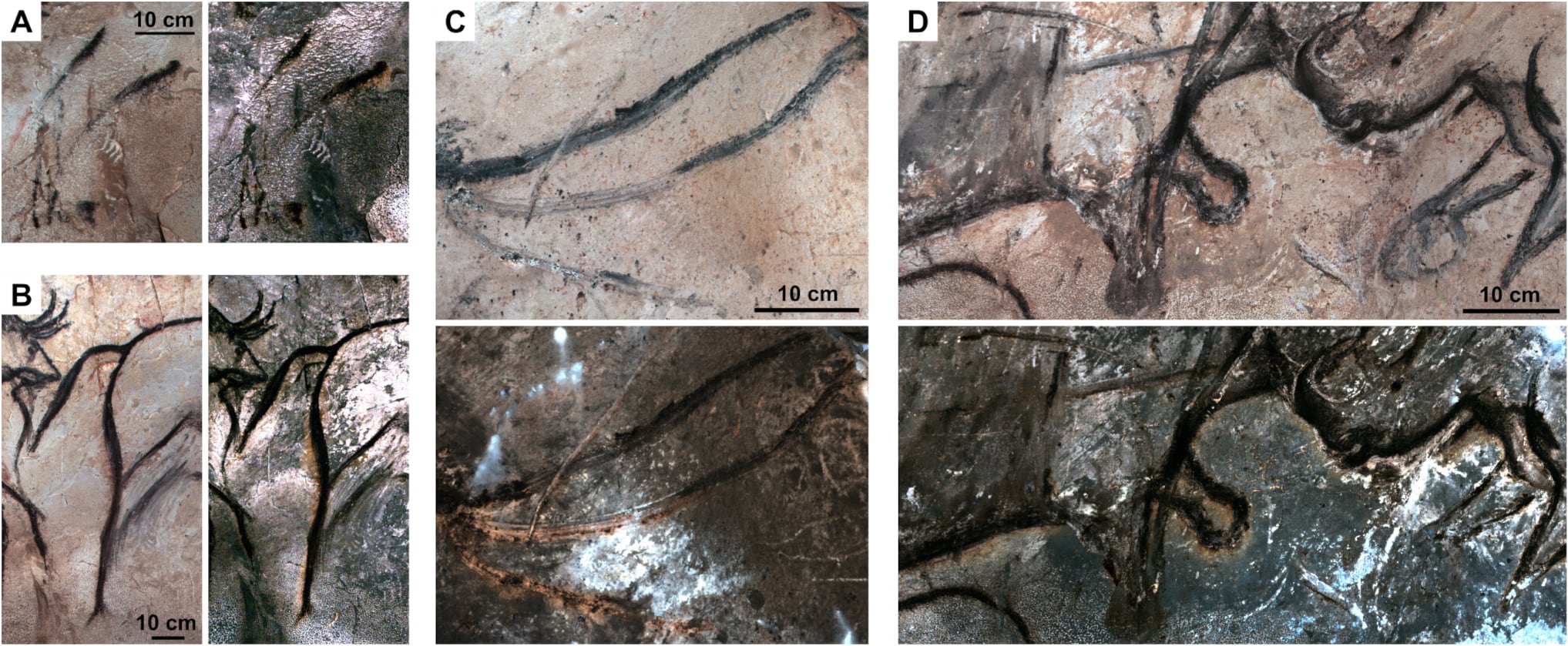 Las mediciones en el Panel de los Caballos detectaron una capa de calcita situada por encima del carbón vegetal - Crédito: ACS Omega (2026). DOI: 10.1021/acsomega.6c05061