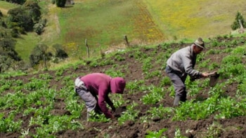 Proponen modelo de corresponsabilidad total