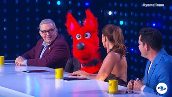 El nuevo jurado de Yo
