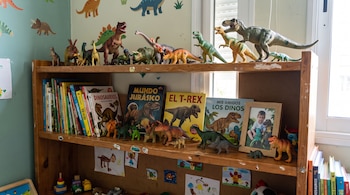 Estantería de madera con figuras de plástico de dinosaurios, libros infantiles, un retrato enmarcado y dibujos pegados.