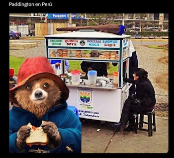 Memes sobre Paddington en Perú.