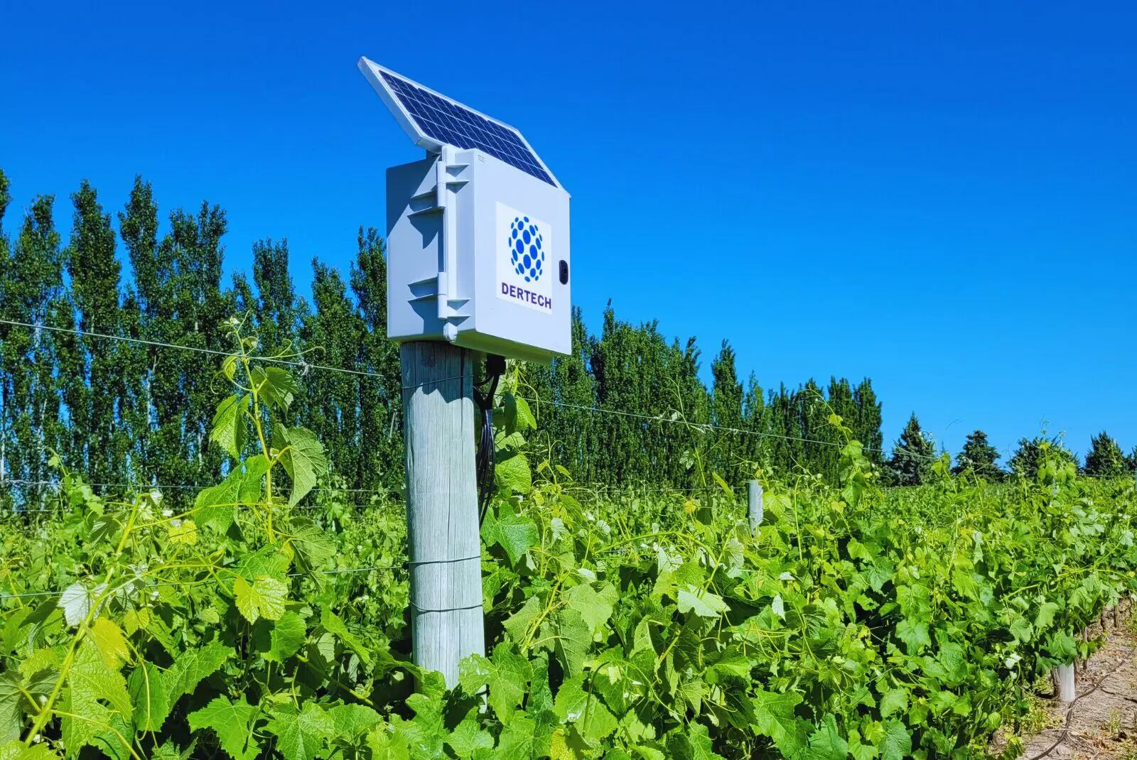 La idea es poder monitorear, planificar y ajustar el riego con más precisión (inta)