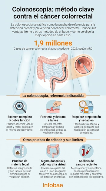 Infografía con título Colonoscopia, diagrama del intestino grueso, sonda médica, íconos de examen, prevención, preparación y pruebas de cribado.