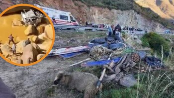 Composición: Infobae Perú