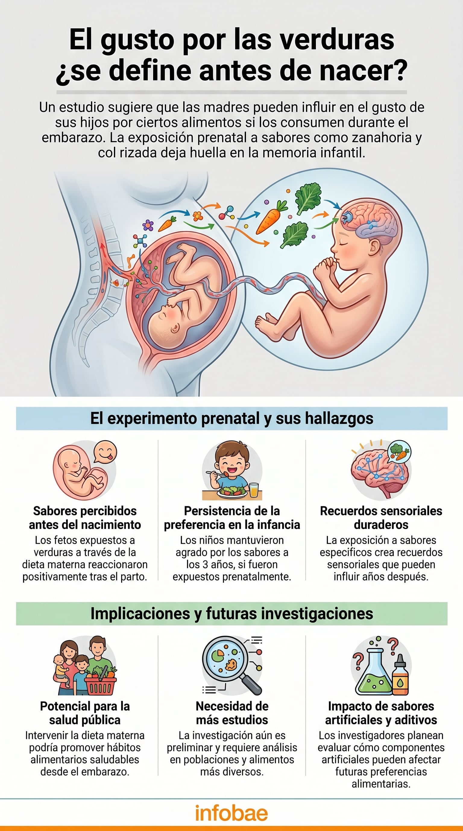 Una investigación de la Universidad de Durham sugiere que la exposición a sabores como la zanahoria y la col rizada durante el embarazo puede influir en las preferencias alimentarias de los niños tras el nacimiento. (Imagen Ilustrativa Infobae)