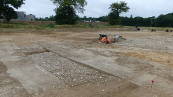 El anillo, grabado con la