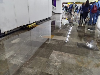 Desenvolvimento atempado das diversas linhas da rede de transportes públicos da capital.