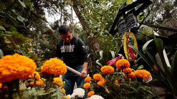 Los mexicanos se vuelcan en