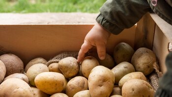 Tras dos años de difíciles,