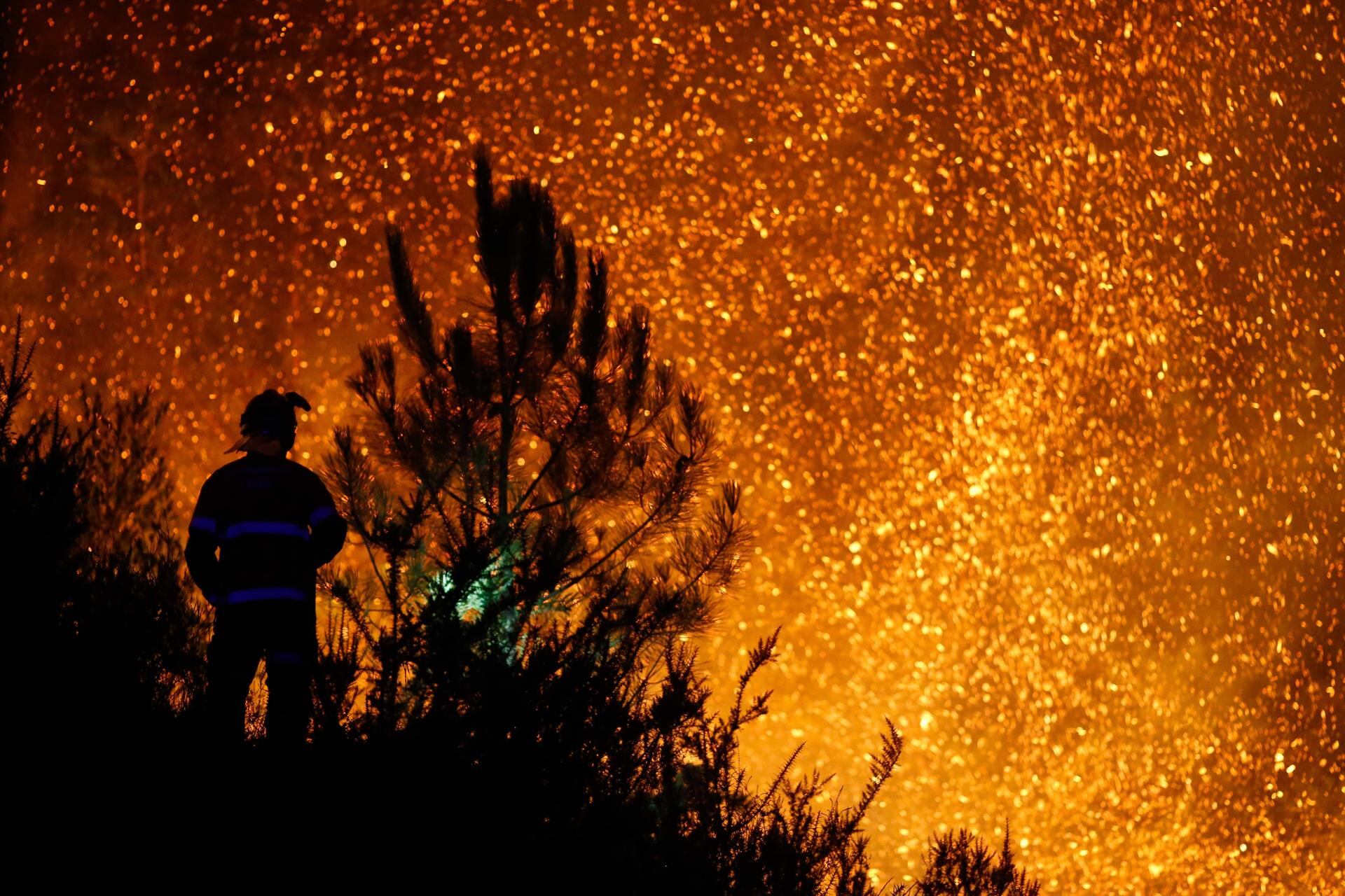 Incendios forestales pueden transformar elementos del suelo en contaminantes peligrosos, como el cromo convertido en metal pesado