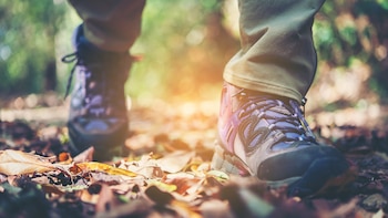 La velocidad a la que