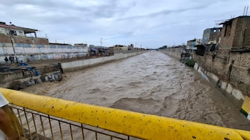 Fotos y videos de los