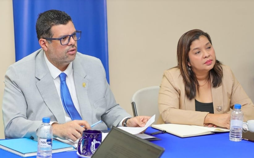 El país evalúa alternativas que faciliten al consumidor el acceso en español a la información de los productos, dijo el viceministro de Comercio e Industrias, Omar Torres. (Mici)