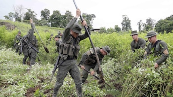Colombia utilizará drones para reactivar