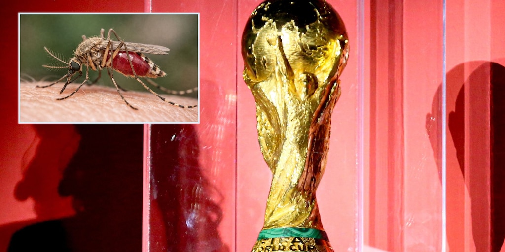 Colombiano al que le detectaron paludismo en Guadalajara enciende las alarmas durante el Mundial 2026: asistió al partido contra RD Congo