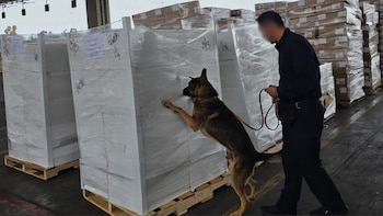 Autoridades mexicanas frenan envío con más de 1.3 toneladas de metanfetamina y 10 kilos de fentanilo antes de cruzar a EEUU por Tijuana