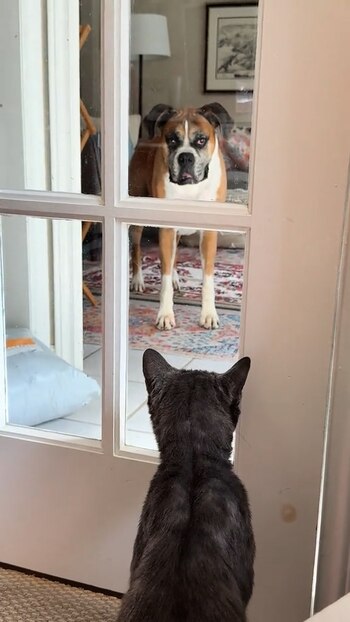 Fiona Begg presenta a Lucky